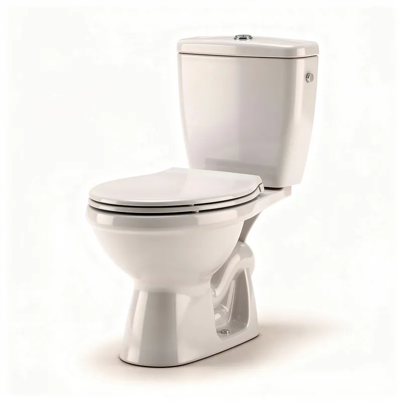 Remplacement de WC Bourg-la-Reine